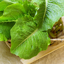 Load image into Gallery viewer, Lettuce, Paris Island Cos Romaine