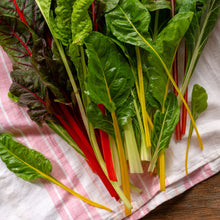 Load image into Gallery viewer, Swiss Chard, Rainbow Mix