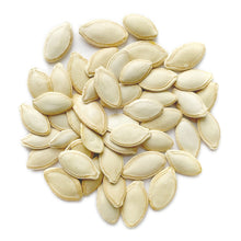Load image into Gallery viewer, Summer Squash, Black Beauty Zucchini Seeds