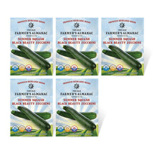 Load image into Gallery viewer, Summer Squash, Black Beauty Zucchini Seeds