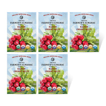 Load image into Gallery viewer, Radish, Cherry Belle - Organic