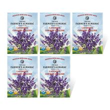 Load image into Gallery viewer, Lavender, Common English
