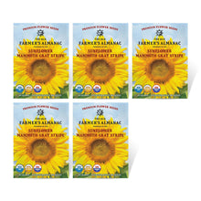 Load image into Gallery viewer, Sunflower, Mammoth Gray Strip Seeds