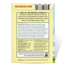 Load image into Gallery viewer, Brussels Sprouts, Long Island Seeds