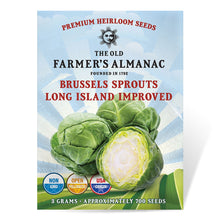 Load image into Gallery viewer, Brussels Sprouts, Long Island Seeds