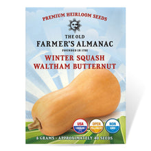 Load image into Gallery viewer, Winter Squash, Waltham Butternut