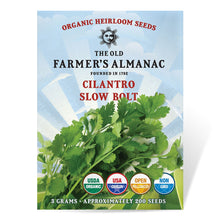 Load image into Gallery viewer, Cilantro, Slow Bolt - Organic