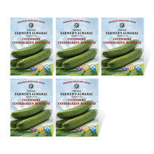 Load image into Gallery viewer, Cucumber, Tendergreen Burpless