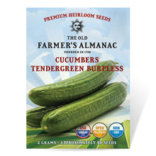 Load image into Gallery viewer, Cucumber, Tendergreen Burpless