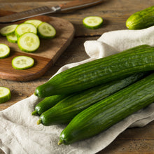 Load image into Gallery viewer, Cucumber, Tendergreen Burpless