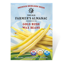 Load image into Gallery viewer, Bean, Gold Rush Wax