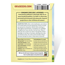 Load image into Gallery viewer, Lavender, Common English