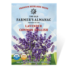 Load image into Gallery viewer, Lavender, Common English