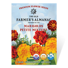 Load image into Gallery viewer, Marigold, Petite Mixture