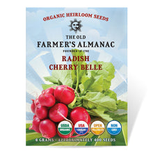 Load image into Gallery viewer, Radish, Cherry Belle - Organic