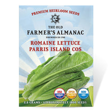 Load image into Gallery viewer, Lettuce, Paris Island Cos Romaine