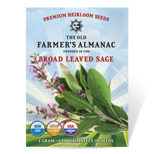Load image into Gallery viewer, Sage, Broad Leaved