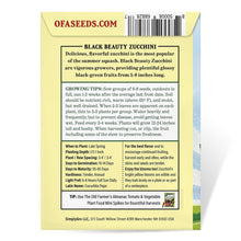Load image into Gallery viewer, Summer Squash, Black Beauty Zucchini Seeds