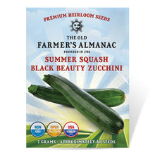 Load image into Gallery viewer, Summer Squash, Black Beauty Zucchini Seeds
