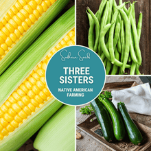 Load image into Gallery viewer, Three Sisters Seed Collection – Corn, Bean, Squash