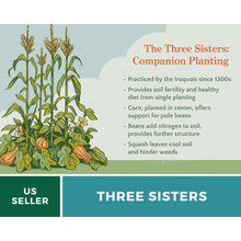 Load image into Gallery viewer, Three Sisters Seed Collection – Corn, Bean, Squash