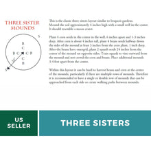 Load image into Gallery viewer, Three Sisters Seed Collection – Corn, Bean, Squash