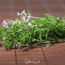Load image into Gallery viewer, Thyme, German Winter
