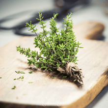 Load image into Gallery viewer, Thyme, German Winter