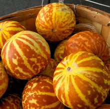 Load image into Gallery viewer, Tiger Melon