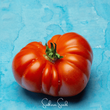 Load image into Gallery viewer, Tomato, Red Brandywine