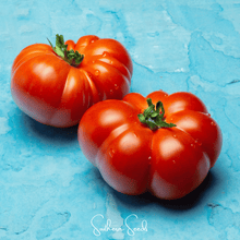 Load image into Gallery viewer, Tomato, Red Brandywine