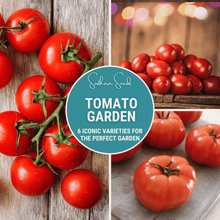 Load image into Gallery viewer, Tomato Garden Seed Collection – 6 Varieties