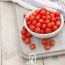 Load image into Gallery viewer, Tomato, Tomberry