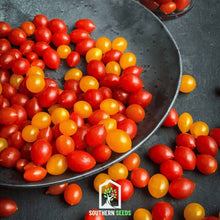 Load image into Gallery viewer, Tomato, Tomberry