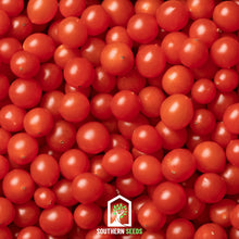 Load image into Gallery viewer, Tomato, Tomberry