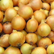 Load image into Gallery viewer, Onion, Utah Yellow Sweet