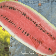 Load image into Gallery viewer, Watermelon, Congo