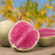 Load image into Gallery viewer, Radish, Watermelon