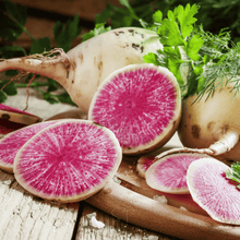 Load image into Gallery viewer, Radish, Watermelon