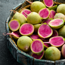 Load image into Gallery viewer, Radish, Watermelon