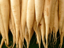 Load image into Gallery viewer, Carrot, Lunar White