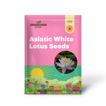 Load image into Gallery viewer, Lotus, Asiatic White Seeds