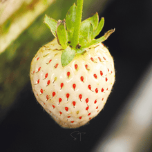 Load image into Gallery viewer, Strawberry, White Soul
