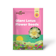 Load image into Gallery viewer, Lotus, Giant Sunburst Seeds