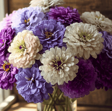 Load image into Gallery viewer, Zinnia, Blueberry Cheesecake